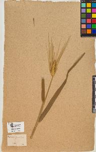 SW_BNB_s3090-10084_IMG-0000000001