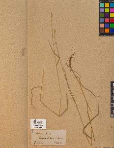 SW_BNB_s3090-10089_IMG-0000000001