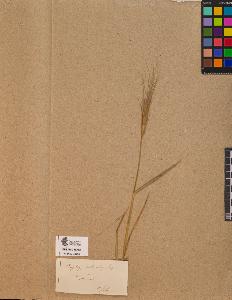 SW_BNB_s3090-10101_IMG-0000000001