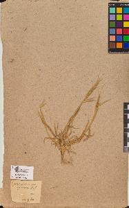 SW_BNB_s3090-10104_IMG-0000000001