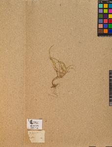 SW_BNB_s3090-10121_IMG-0000000001
