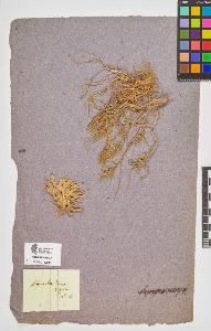 SW_BNB_s3090-10126_IMG-0000000001