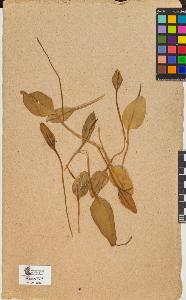 SW_BNB_s3090-10134_IMG-0000000001
