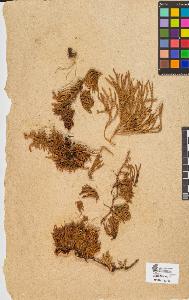 SW_BNB_s3090-10146_IMG-0000000001
