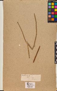 SW_BNB_s3090-10166_IMG-0000000001