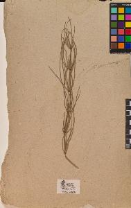 SW_BNB_s3090-10170_IMG-0000000001