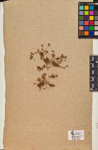 SW_BNB_s3090-10173_IMG-0000000001