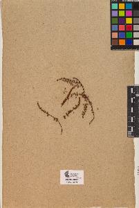 SW_BNB_s3090-10212_IMG-0000000001