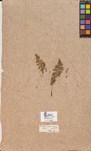 SW_BNB_s3090-10235_IMG-0000000001