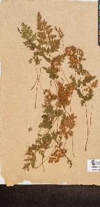 SW_BNB_s3090-10236_IMG-0000000001