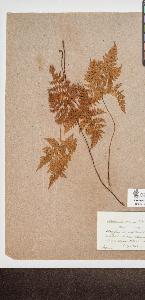 SW_BNB_s3090-10240_IMG-0000000001