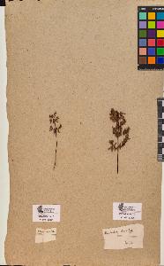 SW_BNB_s3090-10242_IMG-0000000001