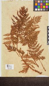 SW_BNB_s3090-10258_IMG-0000000001