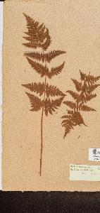SW_BNB_s3090-10260_IMG-0000000001
