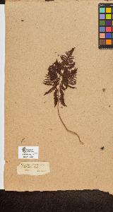 SW_BNB_s3090-10270_IMG-0000000001