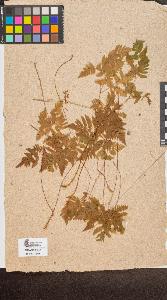 SW_BNB_s3090-10277_IMG-0000000001