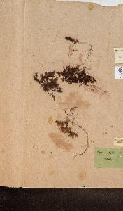 SW_BNB_s3090-10300_IMG-0000000001