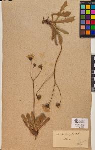 SW_BNB_s3090-10304_IMG-0000000001