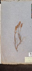 SW_BNB_s3090-10312_IMG-0000000001
