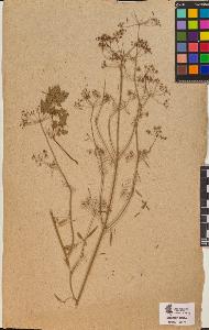 SW_BNB_s3090-10314_IMG-0000000001