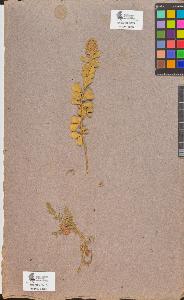 SW_BNB_s3090-10326_IMG-0000000001