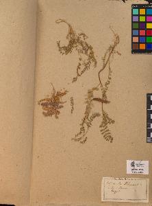 SW_BNB_s3090-10334_IMG-0000000001