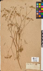SW_BNB_s3090-10343_IMG-0000000001