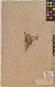 SW_BNB_s3090-10348_IMG-0000000001