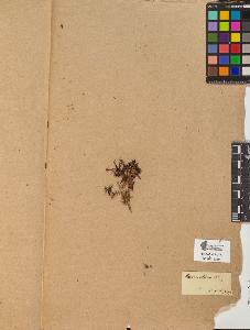 SW_BNB_s3090-10352_IMG-0000000001