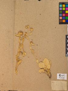 SW_BNB_s3090-10365_IMG-0000000001