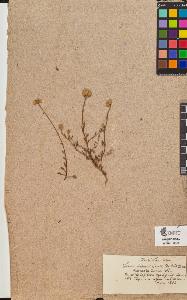 SW_BNB_s3090-10370_IMG-0000000001
