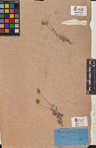 SW_BNB_s3090-10377_IMG-0000000001