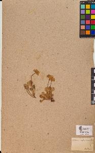 SW_BNB_s3090-10380_IMG-0000000001