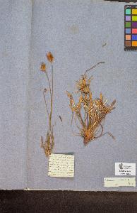 SW_BNB_s3090-10405_IMG-0000000001