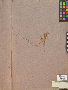 SW_BNB_s3090-10406_IMG-0000000001