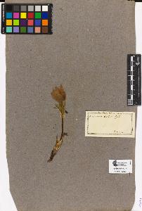 SW_BNB_s3090-10435_IMG-0000000001