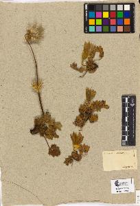 SW_BNB_s3090-10440_IMG-0000000001