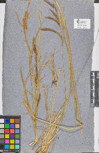 SW_BNB_s3090-10458_IMG-0000000001