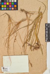 SW_BNB_s3090-10474_IMG-0000000001