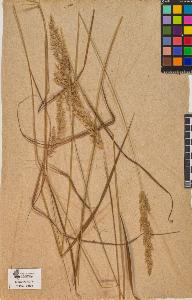 SW_BNB_s3090-10481_IMG-0000000001