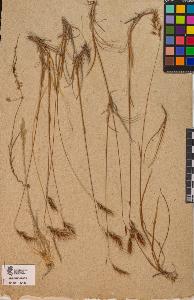 SW_BNB_s3090-10485_IMG-0000000001