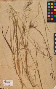 SW_BNB_s3090-10494_IMG-0000000001