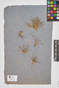 SW_BNB_s3090-10507_IMG-0000000001