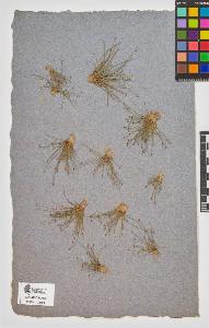 SW_BNB_s3090-10511_IMG-0000000001