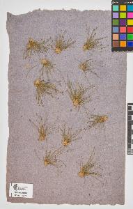 SW_BNB_s3090-10512_IMG-0000000001