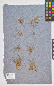 SW_BNB_s3090-10513_IMG-0000000001