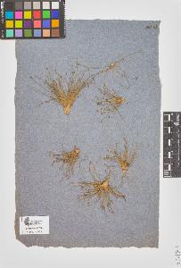SW_BNB_s3090-10515_IMG-0000000001