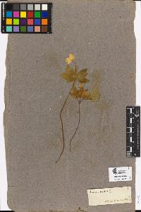 SW_BNB_s3090-10518_IMG-0000000001