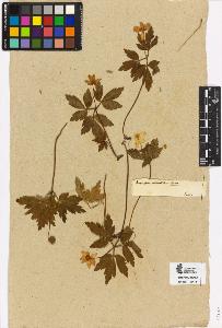 SW_BNB_s3090-10520_IMG-0000000001