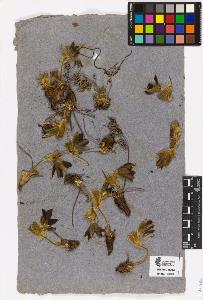 SW_BNB_s3090-10528_IMG-0000000001